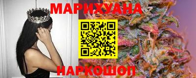 гидропоника Гусев
