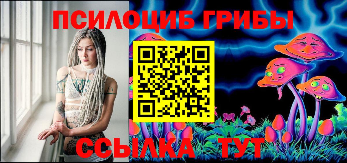 Псилоцибиновые грибы Psilocybe Когалым